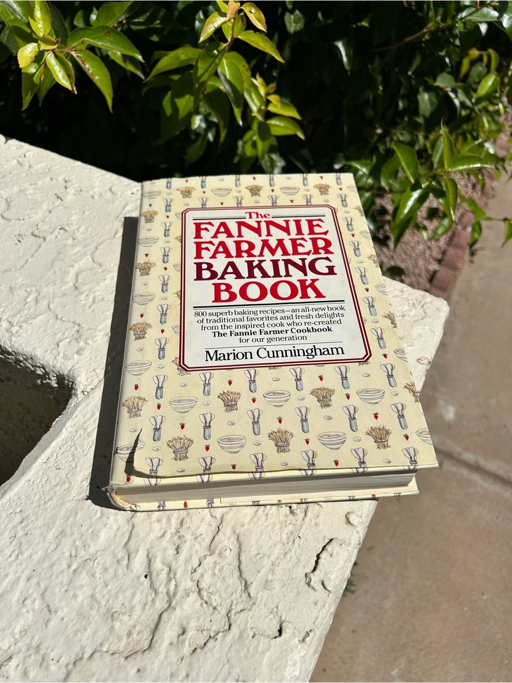 The Fannie Farmer Baking Book hardback